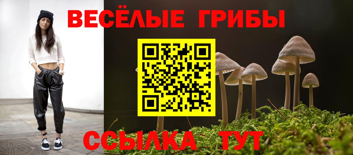 Клинцы  Галлюциногенные грибы мухоморы  Вход с VPN 